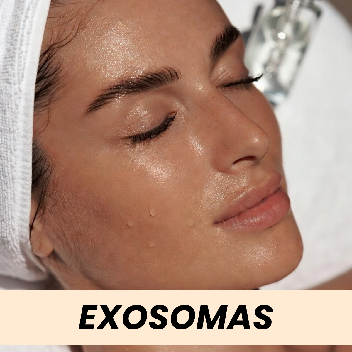 Exosomas