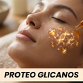PROTEO GLICANOS